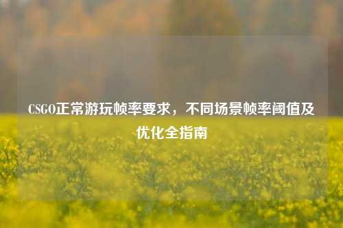 CSGO正常游玩帧率要求,不同场景帧率阈值及优化全指南