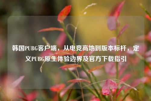 韩国PUBG客户端,从电竞高地到版本标杆,定义PUBG原生体验边界及官方下载指引
