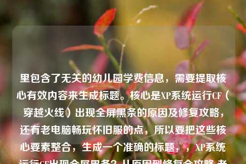 里包含了无关的幼儿园学费信息,需要提取核心有效内容来生成标题。核心是XP系统运行CF(穿越火线)出现全屏黑条的原因及修复攻略,还有老电脑畅玩怀旧服的点,所以要把这些核心要素整合,生成一个准确的标题,,XP系统运行CF出现全屏黑条?从原因到修复全攻略 老电脑也能畅玩怀旧服
