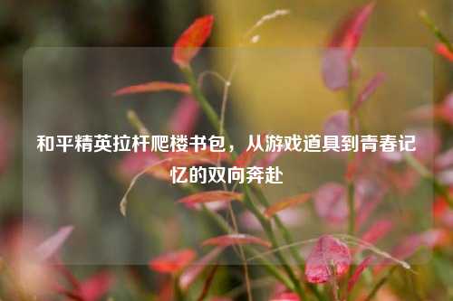 和平精英拉杆爬楼书包，从游戏道具到青春记忆的双向奔赴