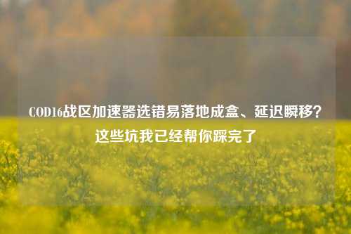 COD16战区加速器选错易落地成盒、延迟瞬移?这些坑我已经帮你踩完了