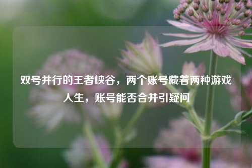 双号并行的王者峡谷，两个账号藏着两种游戏人生，账号能否合并引疑问
