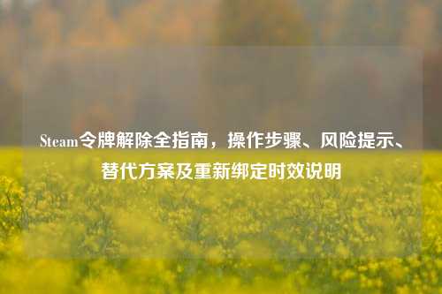 Steam令牌解除全指南,操作步骤、风险提示、替代方案及重新绑定时效说明