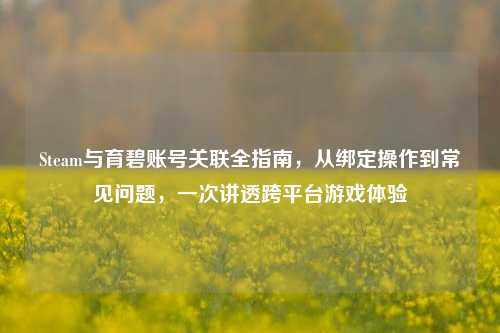 Steam与育碧账号关联全指南，从绑定操作到常见问题，一次讲透跨平台游戏体验