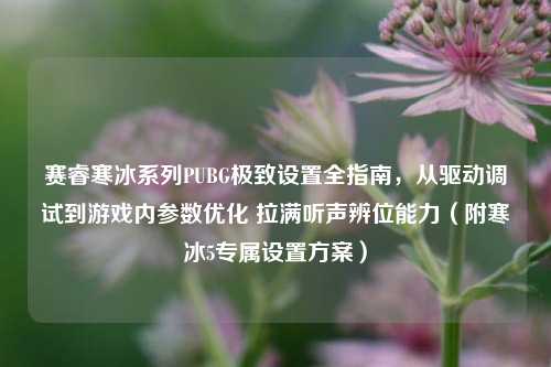赛睿寒冰系列PUBG极致设置全指南,从驱动调试到游戏内参数优化 拉满听声辨位能力(附寒冰5专属设置方案)