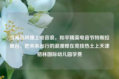 当海岛风撞上电音浪，和平精英电音节特斯拉展台，把未来出行的浪漫焊在竞技热土上天津格林国际幼儿园学费