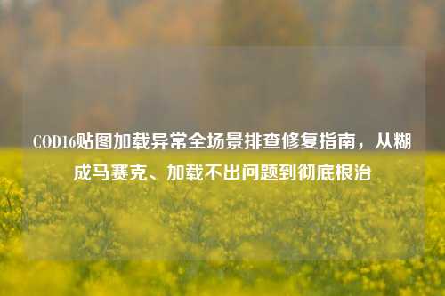 COD16贴图加载异常全场景排查修复指南,从糊成马赛克、加载不出问题到彻底根治
