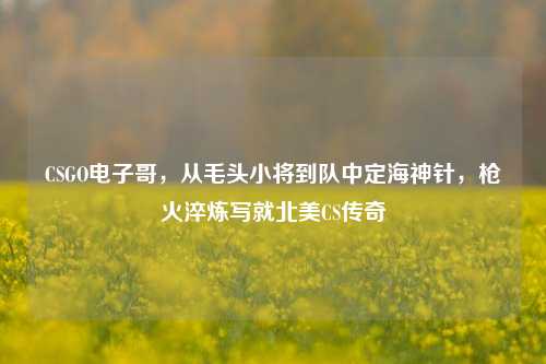 CSGO电子哥,从毛头小将到队中定海神针,枪火淬炼写就北美CS传奇