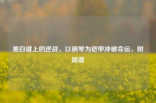 黑白键上的逆战,以钢琴为铠甲冲破命运,附简谱
