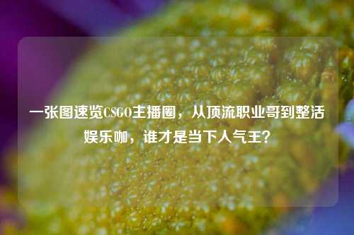 一张图速览CSGO主播圈,从顶流职业哥到整活娱乐咖,谁才是当下人气王?