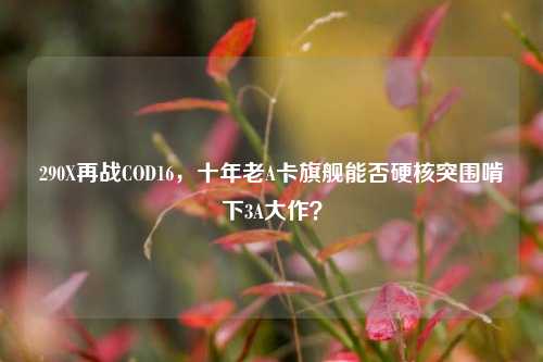 290X再战COD16，十年老A卡旗舰能否硬核突围啃下3A大作？