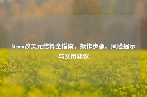 Steam改美元结算全指南，操作步骤、风险提示与实用建议