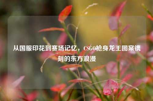 从国服印花到赛场记忆,CSGO枪身龙王图案镌刻的东方浪漫