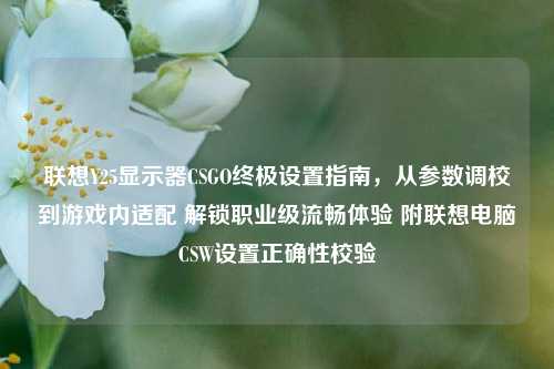 联想Y25显示器CSGO终极设置指南,从参数调校到游戏内适配 解锁职业级流畅体验 附联想电脑CSW设置正确性校验