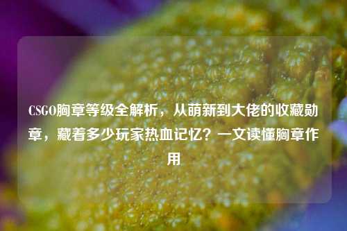 CSGO胸章等级全解析,从萌新到大佬的收藏勋章,藏着多少玩家热血记忆?一文读懂胸章作用