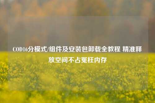 COD16分模式/组件及安装包卸载全教程 精准释放空间不占冤枉内存