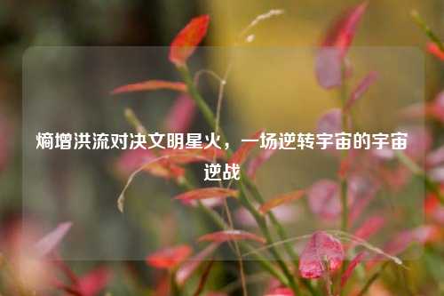 熵增洪流对决文明星火，一场逆转宇宙的宇宙逆战