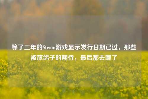 等了三年的Steam游戏显示发行日期已过，那些被放鸽子的期待，最后都去哪了