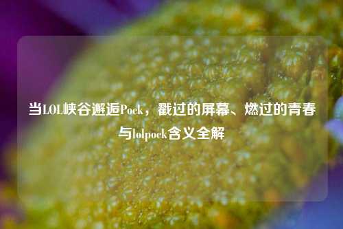 当LOL峡谷邂逅Pock，戳过的屏幕、燃过的青春与lolpock含义全解