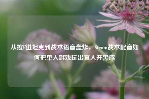 从按F进坦克到战术语音轰炸,Steam战术配音如何把单人游戏玩出真人开黑感