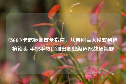 CSGO N卡滤镜调试全指南,从告别盲人模式到枪枪锁头 手把手教你调出职业级适配战场视野