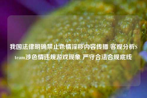 我国法律明确禁止色情淫秽内容传播 客观分析Steam涉色情违规游戏现象 严守合法合规底线