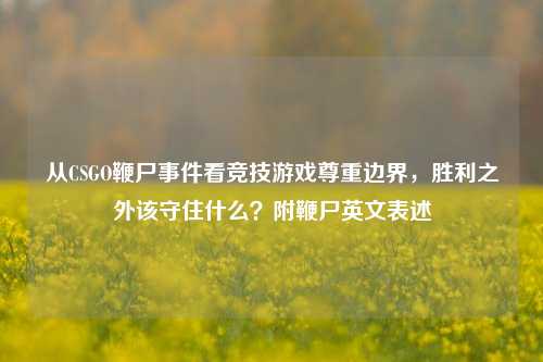 从CSGO鞭尸事件看竞技游戏尊重边界,胜利之外该守住什么?附鞭尸英文表述