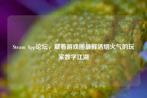 Steam App论坛，藏着游戏圈最鲜活烟火气的玩家数字江湖