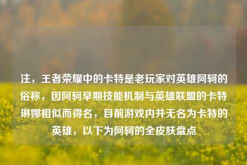 注，王者荣耀中的卡特是老玩家对英雄阿轲的俗称，因阿轲早期技能机制与英雄联盟的卡特琳娜相似而得名，目前游戏内并无名为卡特的英雄，以下为阿轲的全皮肤盘点