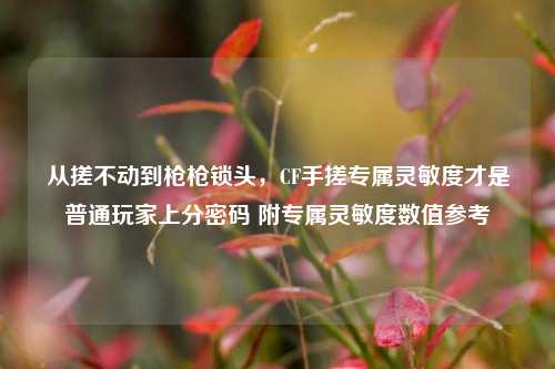 从搓不动到枪枪锁头，CF手搓专属灵敏度才是普通玩家上分密码 附专属灵敏度数值参考