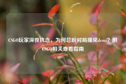 CSGO玩家深夜执念，为何总盼对局撞见demi？附CSGO相关查看指南