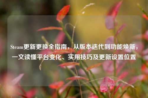 Steam更新更换全指南,从版本迭代到功能焕新,一文读懂平台变化、实用技巧及更新设置位置