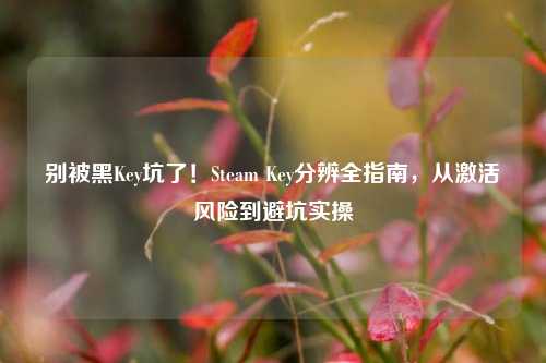 别被黑Key坑了！Steam Key分辨全指南，从激活风险到避坑实操