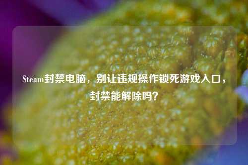 Steam封禁电脑，别让违规操作锁死游戏入口，封禁能解除吗？