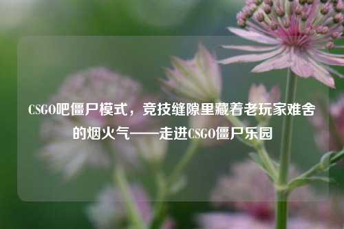 CSGO吧僵尸模式，竞技缝隙里藏着老玩家难舍的烟火气——走进CSGO僵尸乐园