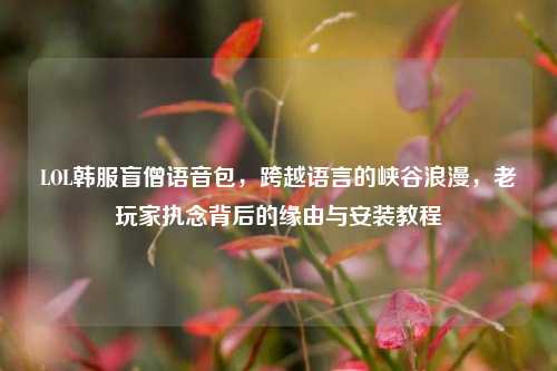 LOL韩服盲僧语音包，跨越语言的峡谷浪漫，老玩家执念背后的缘由与安装教程