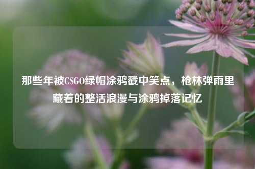 那些年被CSGO绿帽涂鸦戳中笑点，枪林弹雨里藏着的整活浪漫与涂鸦掉落记忆