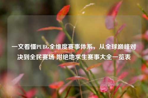 一文看懂PUBG全维度赛事体系，从全球巅峰对决到全民赛场 附绝地求生赛事大全一览表