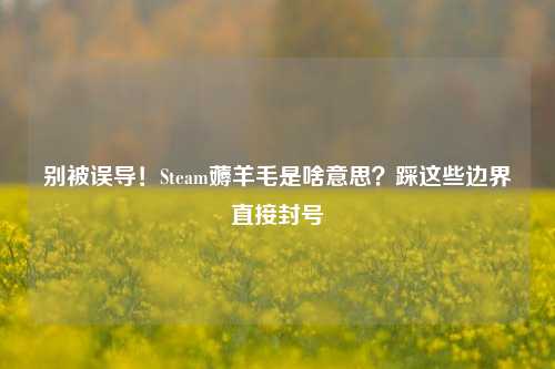 别被误导！Steam薅羊毛是啥意思？踩这些边界直接封号