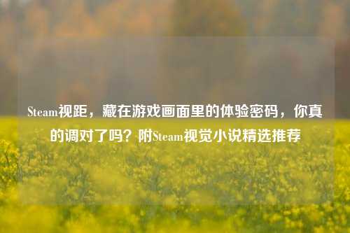 Steam视距，藏在游戏画面里的体验密码，你真的调对了吗？附Steam视觉小说精选推荐