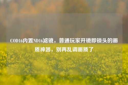 COD16内置ND16滤镜,普通玩家开镜即锁头的画质神器,别再乱调画质了