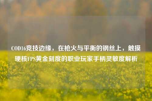 COD16竞技边缘,在枪火与平衡的钢丝上,触摸硬核FPS黄金刻度的职业玩家手柄灵敏度解析