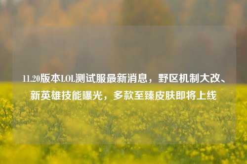 11.20版本LOL测试服最新消息，野区机制大改、新英雄技能曝光，多款至臻皮肤即将上线