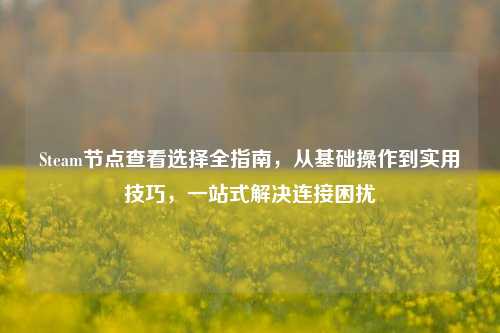 Steam节点查看选择全指南，从基础操作到实用技巧，一站式解决连接困扰