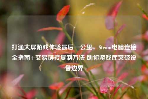 打通大屏游戏体验最后一公里,Steam电脑连接全指南+交易链接复制方法 助你游戏库突破设备边界