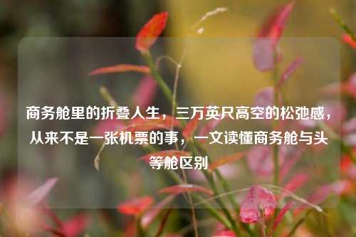 商务舱里的折叠人生,三万英尺高空的松弛感,从来不是一张机票的事,一文读懂商务舱与头等舱区别