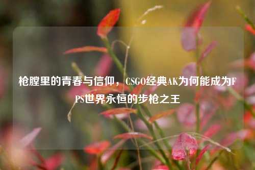 枪膛里的青春与信仰，CSGO经典AK为何能成为FPS世界永恒的步枪之王