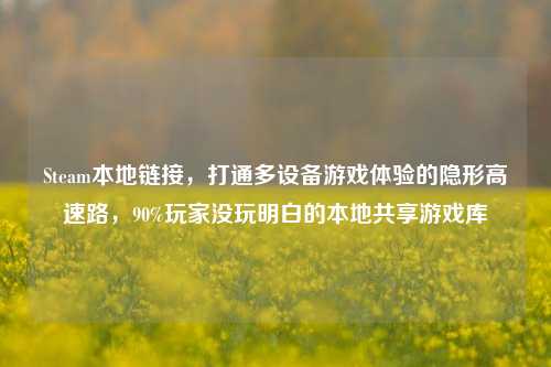 Steam本地链接，打通多设备游戏体验的隐形高速路，90%玩家没玩明白的本地共享游戏库
