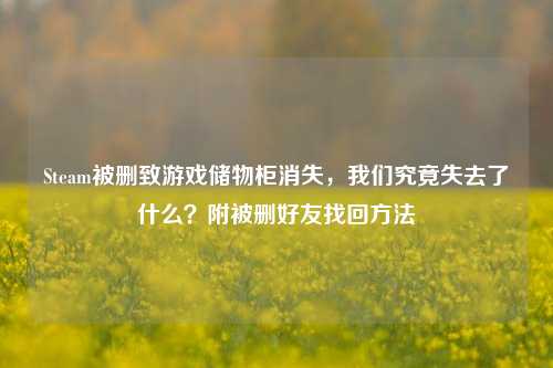 Steam被删致游戏储物柜消失，我们究竟失去了什么？附被删好友找回方法