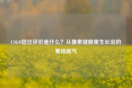 CSGO信任评价是什么？从像素缝隙里生长出的赛场底气
